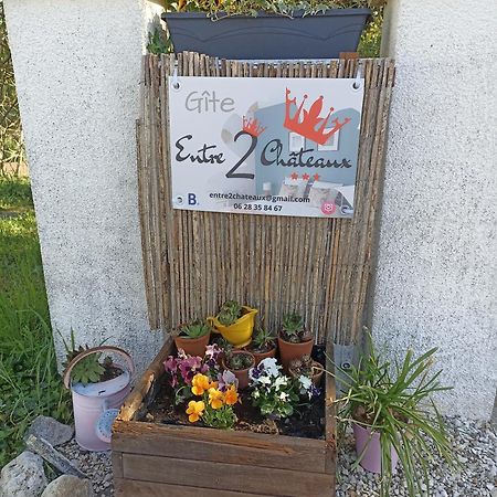 Entre 2 Chateaux Onzain Exteriör bild